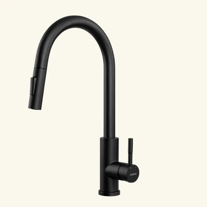 Robinet douchette Luisina inox massif noir mat MARCEAU