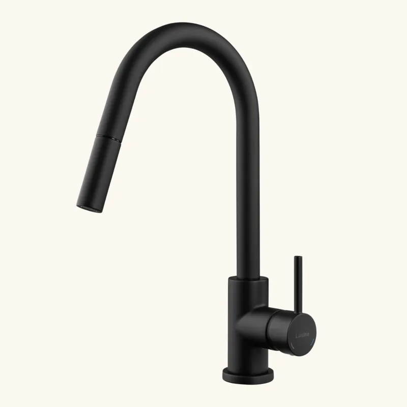 Robinet douchette Luisina noir mat EMMA