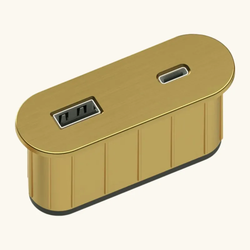 Prise USB murale ARCHEA 1 prise USB C + 1 USB-A - Prise ovale encastrable doré
