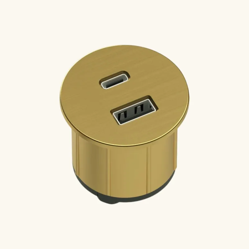 Prise USB murale ARCHEA 1 prise USB C + 1 USB-A - Prise ronde encastrable doré