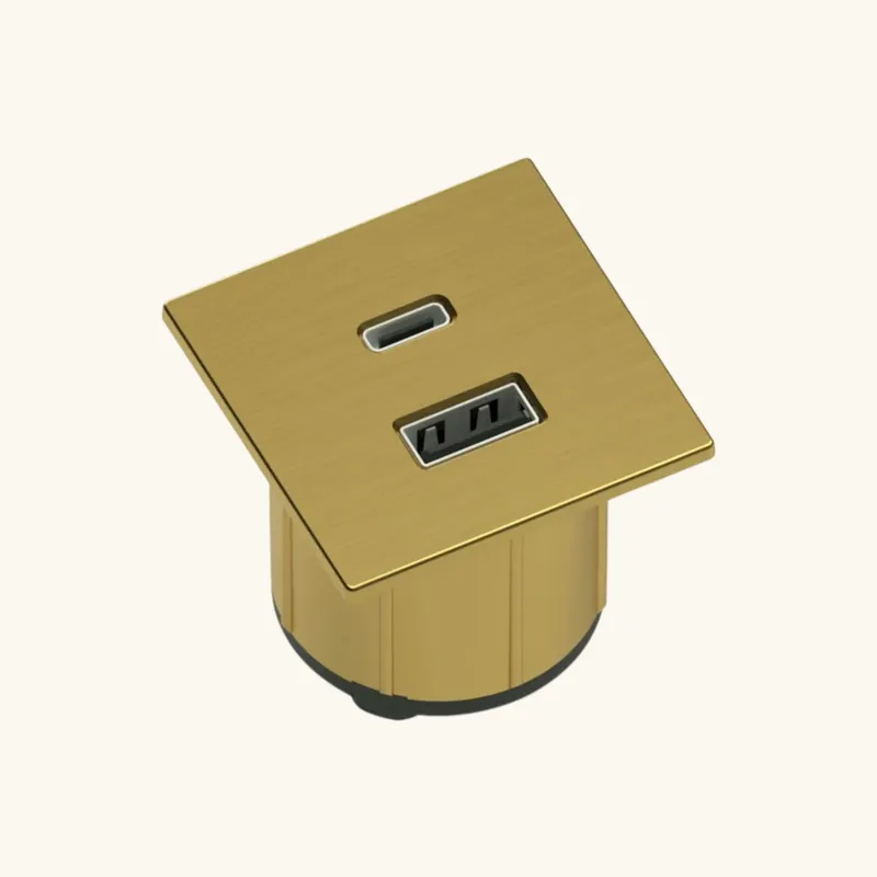 Prise USB murale ARCHEA 1 prise USB C + 1 USB-A - Prise carré encastrable doré