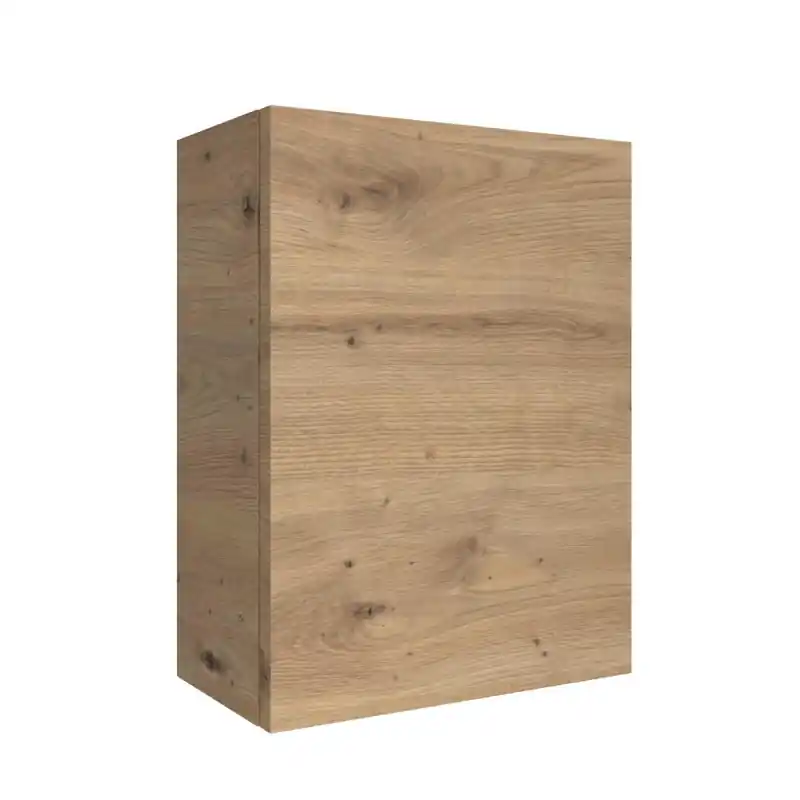 Module ALLIANCE 30 x 40 cm 1 porte chêne montana réf 120092 Salgar