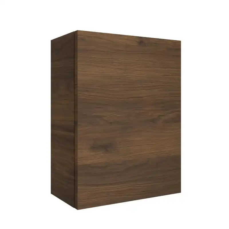 Module ALLIANCE 30 x 40 cm 1 porte noyer maya réf 102843 Salgar