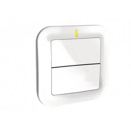 TYXIA 2310 Interrupteur sans fil pour éclairages ou automatismes