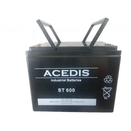 23ST600 Batterie 12V 60Ah CAME FR2023