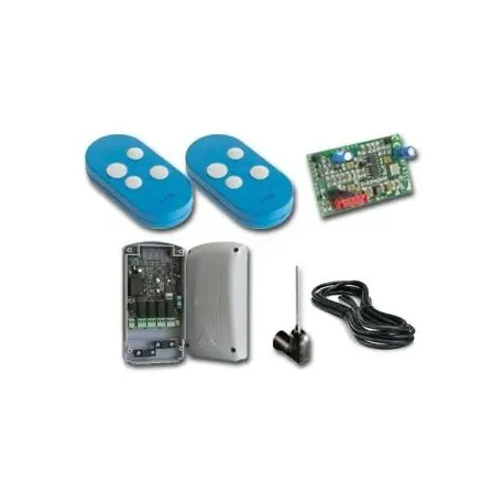 TRA2RA44 Système radio 12-24VAC CAME 8K06RV-002