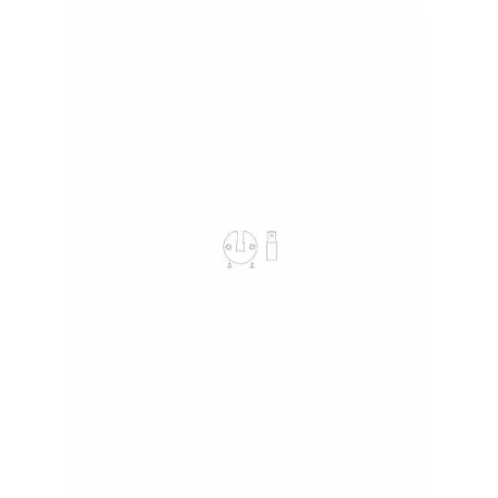 Insert sécurité Q16 pour MO 4 CAME YM0101