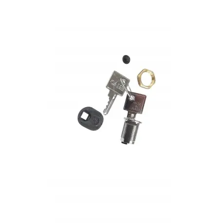 Cylindre serrure - BX-243 CAME RIBX042