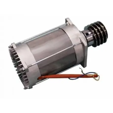 Groupe moteur - BX-24 CAME RIBX020