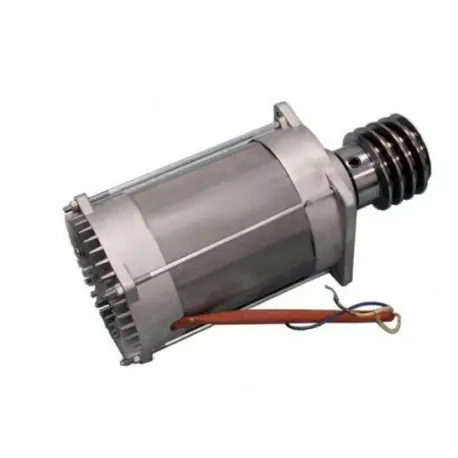Groupe moteur - BK-1200P CAME RIBK052