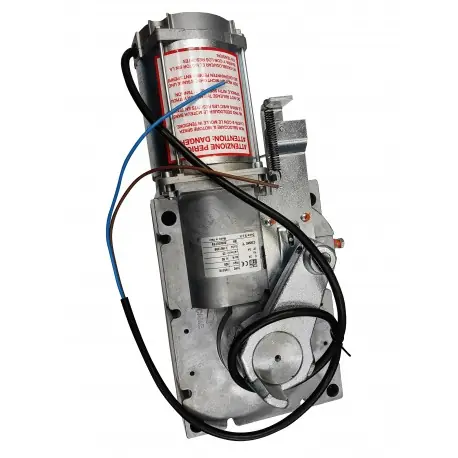 Motoréducteur - G2080 G2080I CAME RIG196