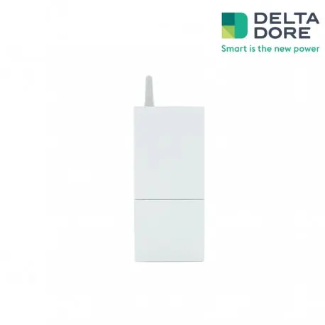 Récepteur sans fil pour chaudière et pompe à chaleur Chaffoteaux TYPASS CHX - DELTA DORE 6700114