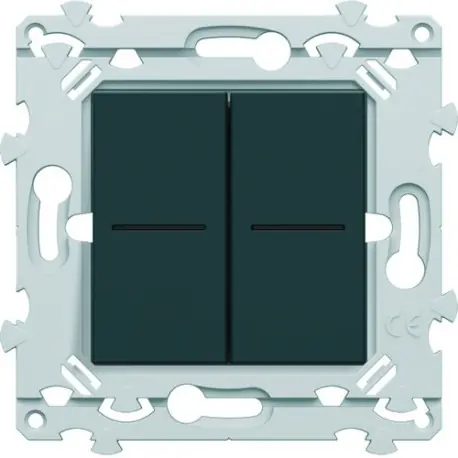 Dble InterBP voyant anthracite - HAGER WE045A