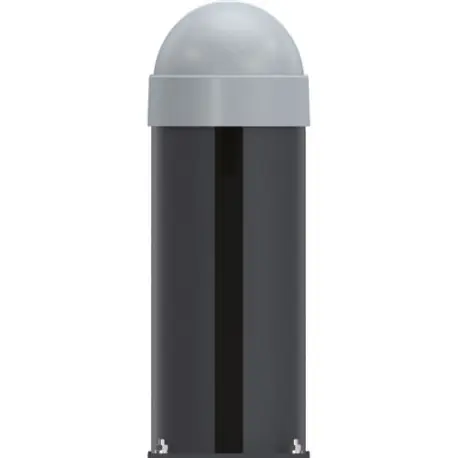 CAT1DACS PILIER AVEC MOTEUR 24 V RAL X - CAME 803BC-0050