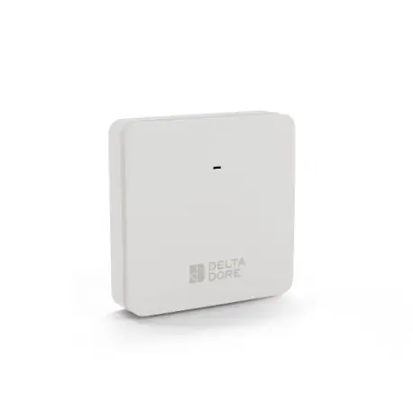 Sonde de température intérieure radio STI 2000 - DELTA DORE 6300051