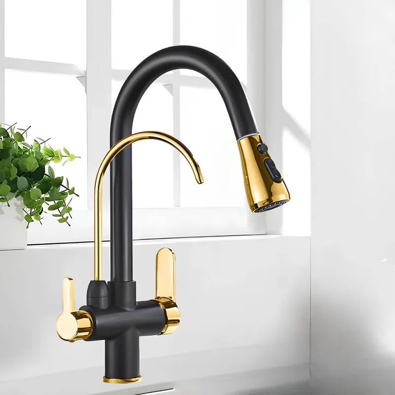 Robinet douchette multifonctions– Pratique et élégant