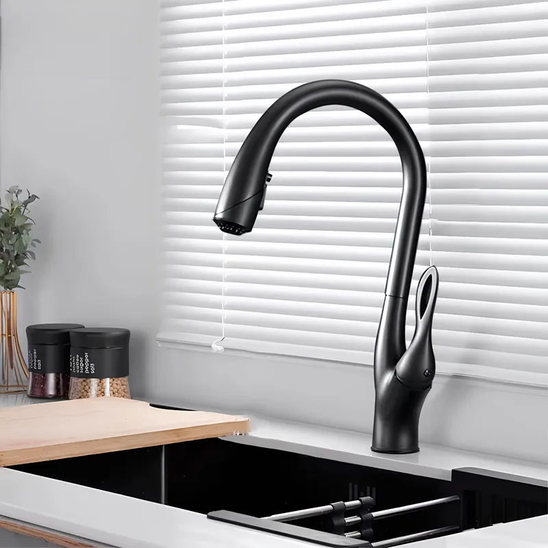 Robinet douchette évier - design luxueux