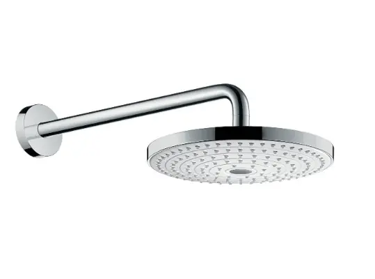 Douche de tête Raindance Select S 240 2jet avec bras de douche 390 mm EcoSmart (26470400)