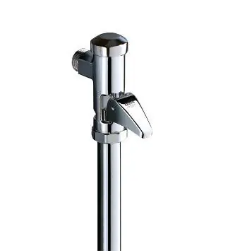 Flushing Valve Robinet de chasse pour WC, Chromé (37141000)