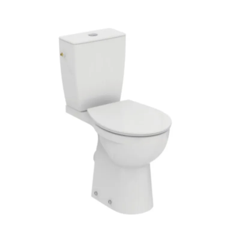 Ulysse+ WC à poser PMR avec bride et kit de fixation au sol + abattant thermodur et charnières inox, blanc (P014901)