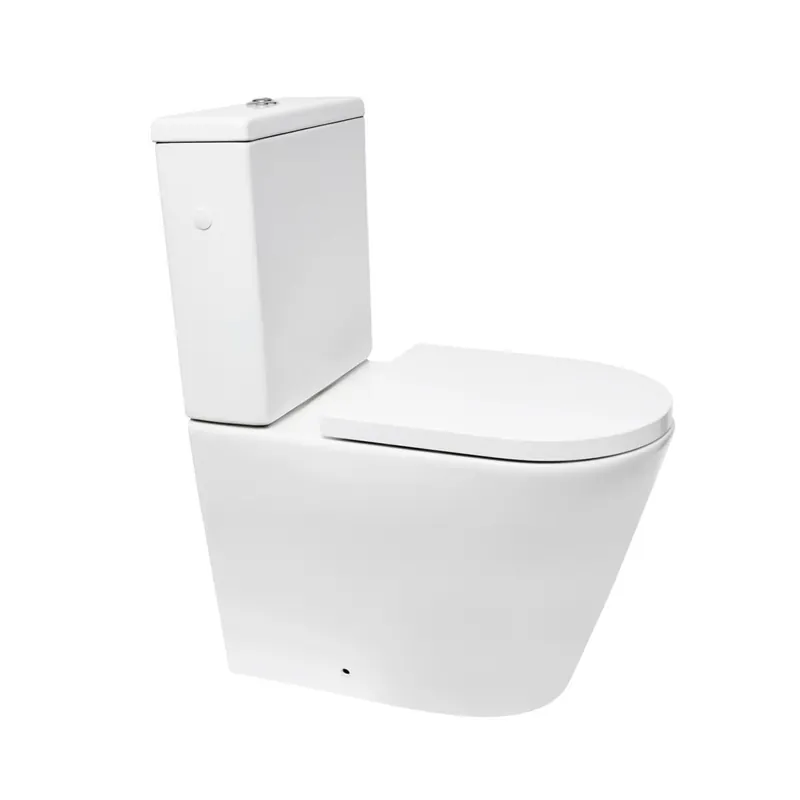 Project Combi WC à poser sans bride en céramique avec abattant SoftClose, blanc (SATPRO31)