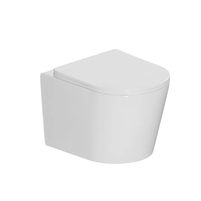 Vortex rimless abattant SoftClose pour cuvette CE142010, blanc brillant (CCE142SC)
