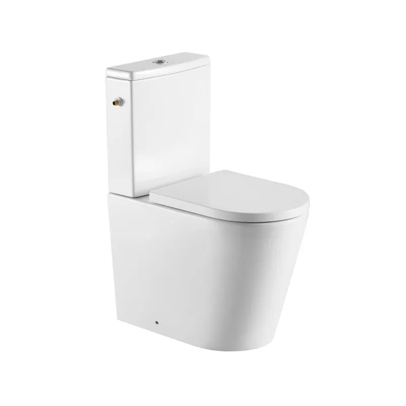Cuvette seule à poser sans bride, vendue sans abattant ni réservoir, blanc (NDSATBRE031RREXVPB)