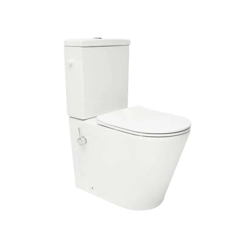 Brevis WC à poser sans bride en céramique avec fonction bidet + abattant SoftClose + réservoir de chasse, blanc (SATBRE36BFC)
