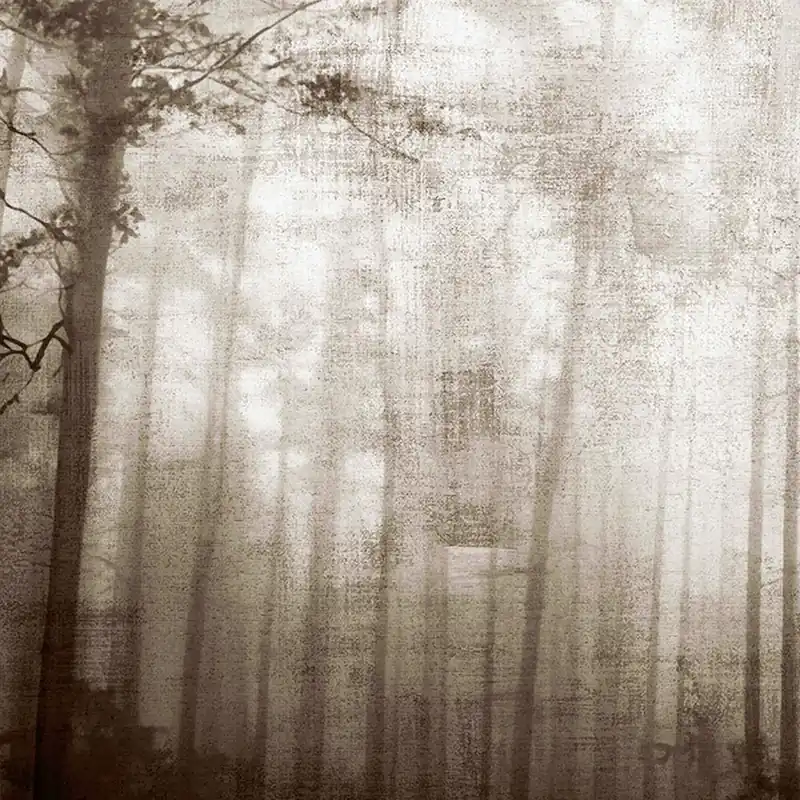 Papier peint ACCENT Nature Series Creativespace
