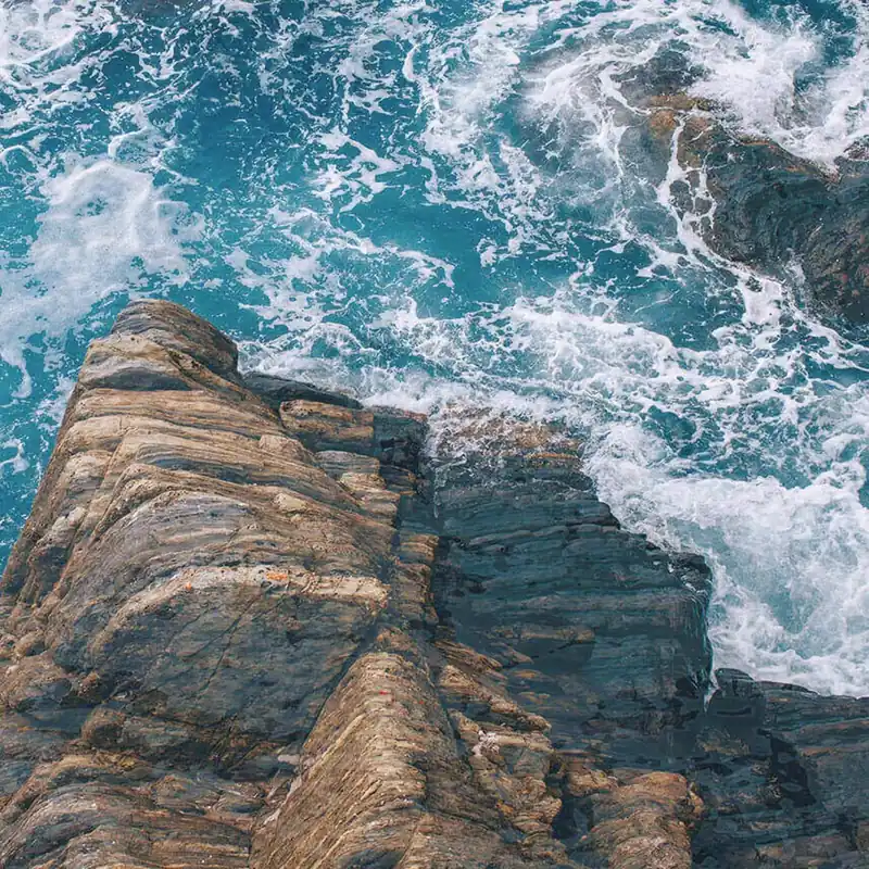ACAPULCO Nature Series Wallpaper Creativespace
