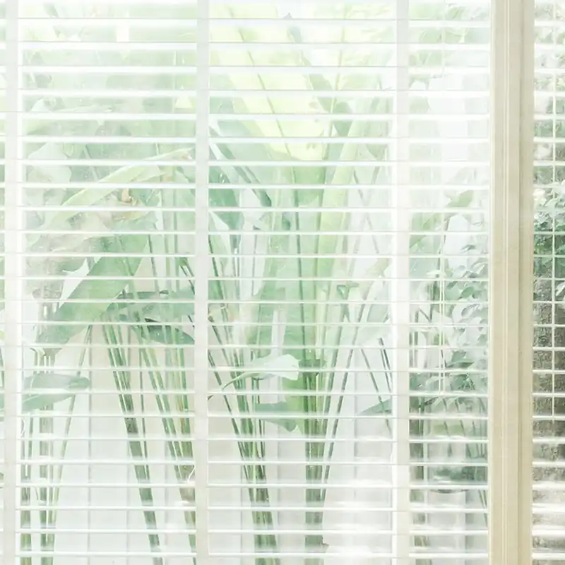 BEYOND Wallpaper Nature Series Creativespace