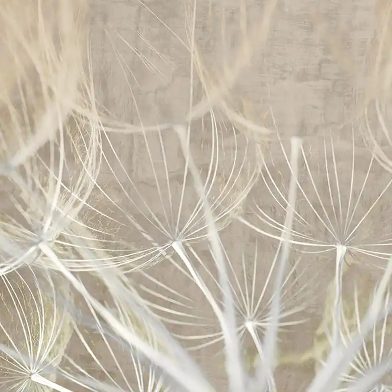 Papier peint BOUCHE Série Nature Creativespace