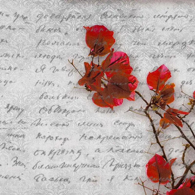 Papier peint FIONA Nature Series Creativespace