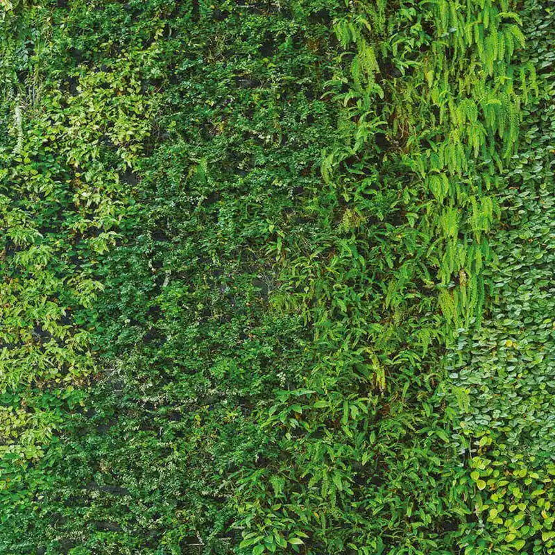GRASS Wallpaper Nature Series Creativespace