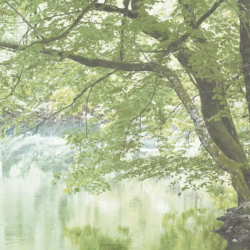 Papier peint LAGOON Nature Series Creativespace