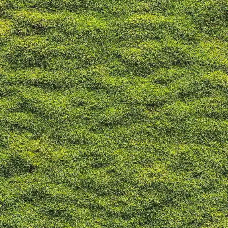 LIFE Nature Series Wallpaper Creativespace