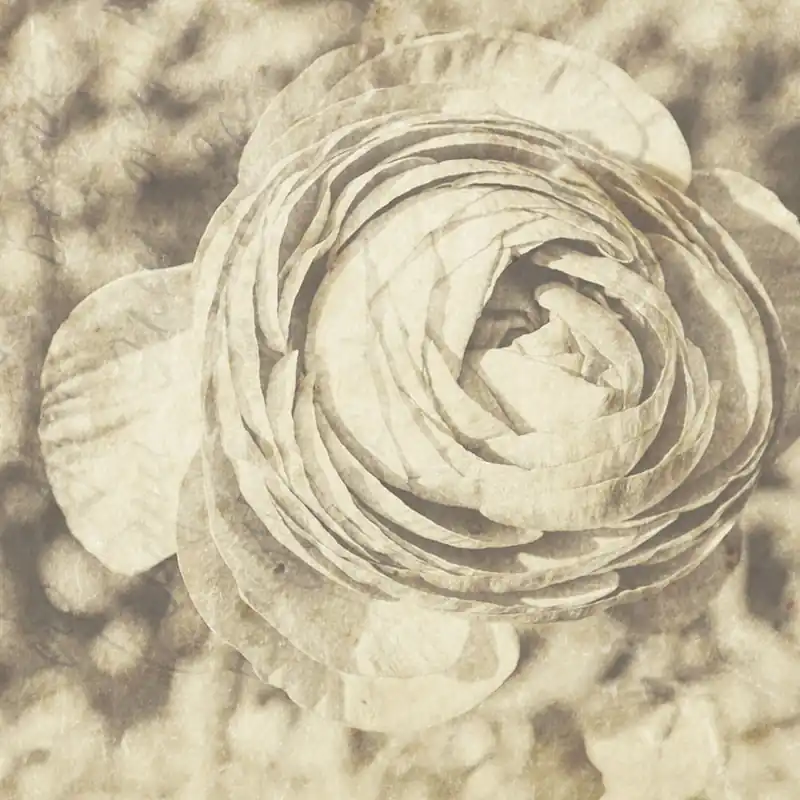 Papier peint LUX Série Nature Creativespace
