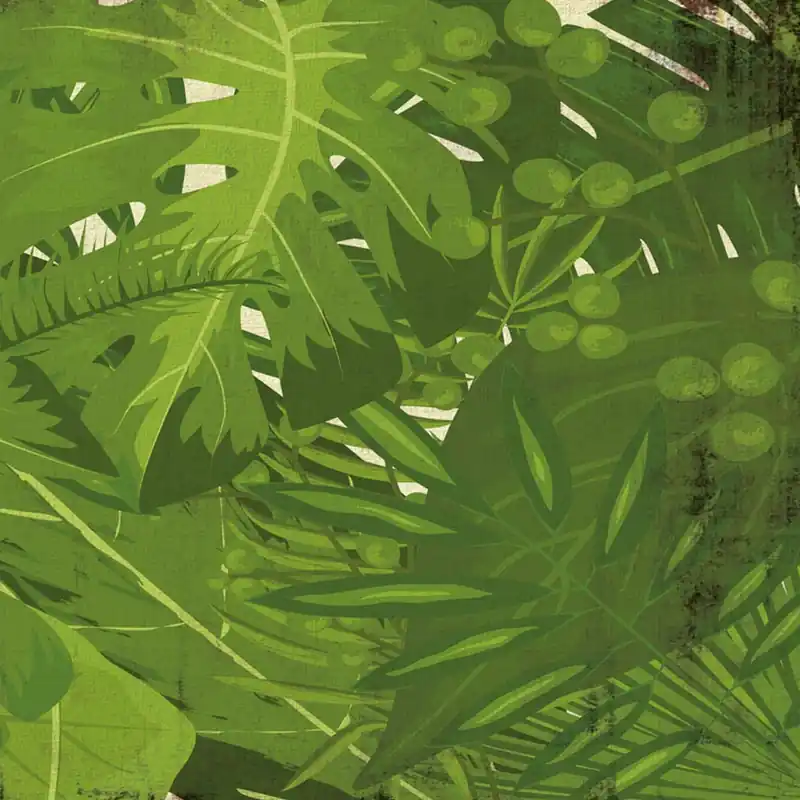 Papier peint MIX Nature Series Creativespace