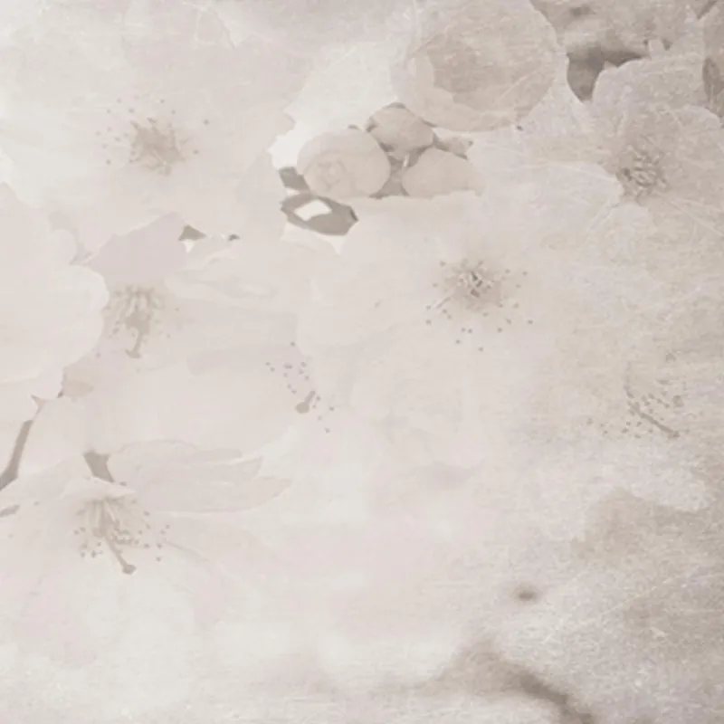 ORCHID Wallpaper Nature Series Creativespace