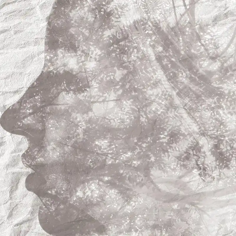 PAPIER TROIS Papier peint série Nature Creativespace
