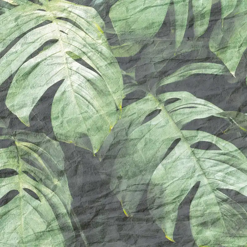 Papier peint PLANT Nature Series Creativespace