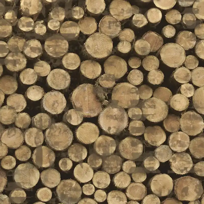 Papier peint WOOD Série Nature Creativespace