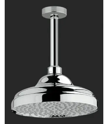 Douche de tete 1866 et bras au plafond