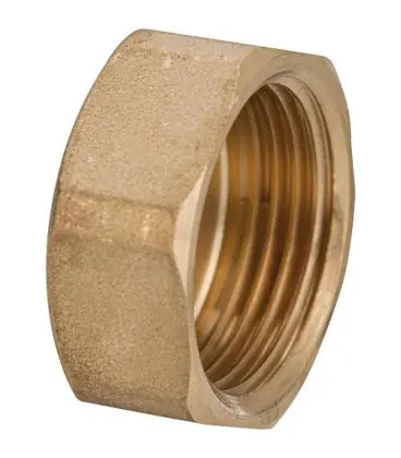 Cache en laiton 2" femelle