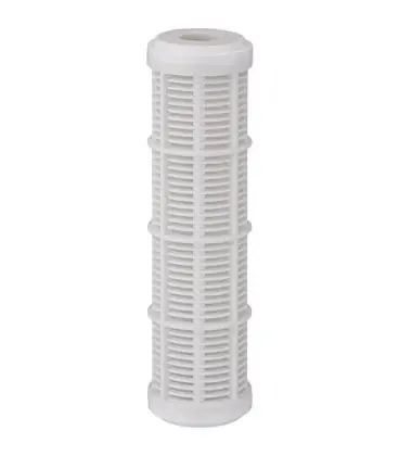 Cartouche de filtre pour FP 2 en plastique AC 80 microns longueur 9 3/4" Bougie filtrante