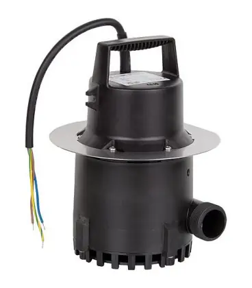 Pompe de rechange pour SWH - S 100 Viton