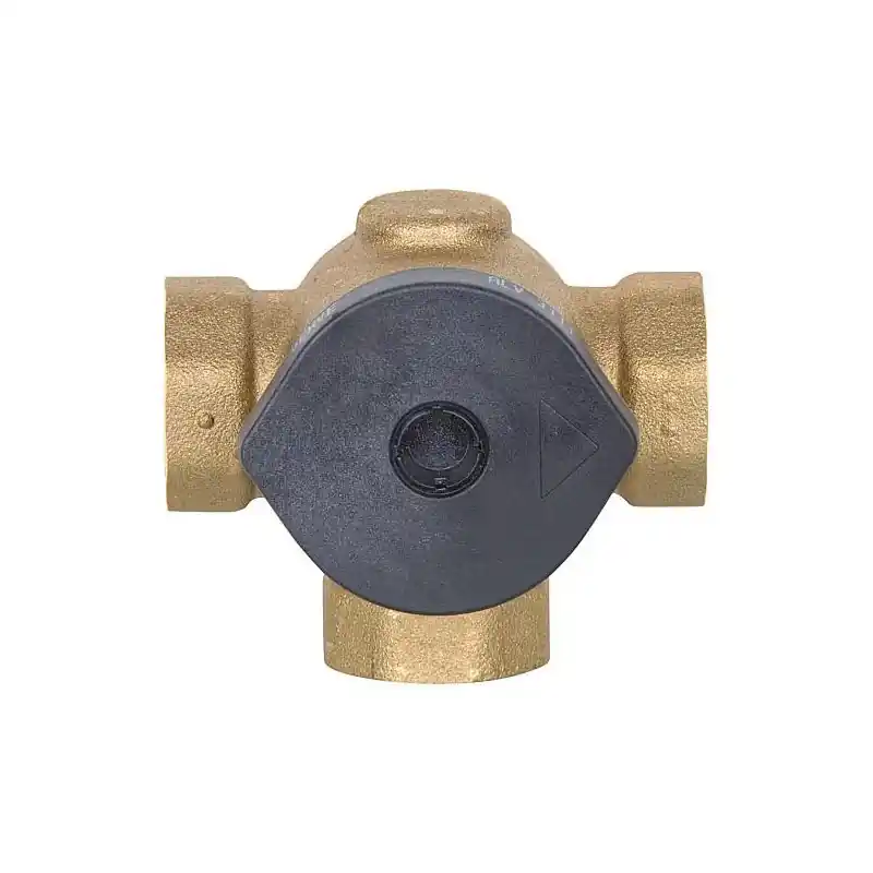 Clapet de chargement ALV, amovible de l’exterieur, DN20 femelle, 55°C