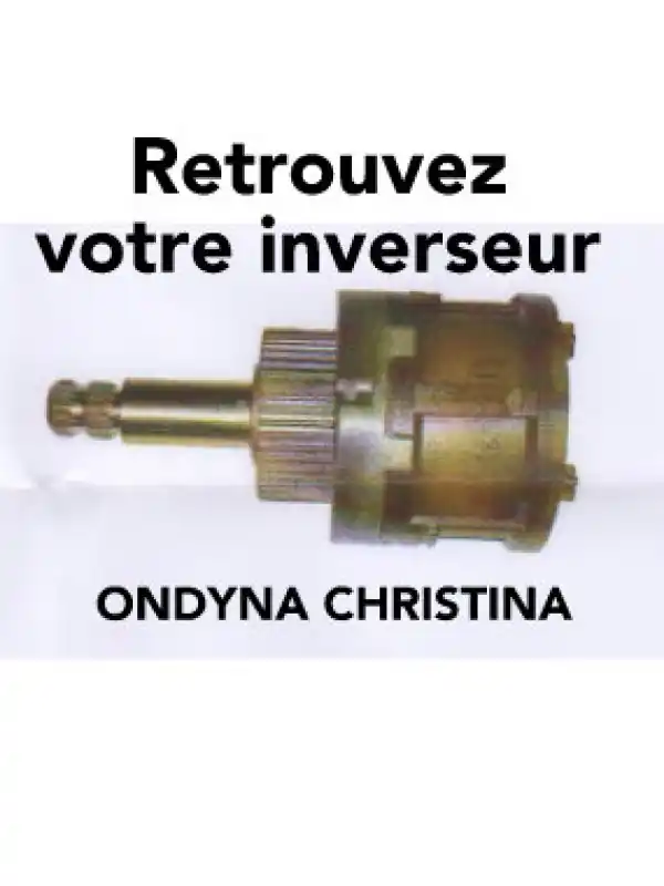 Cartouche Inverseur ONDYNA