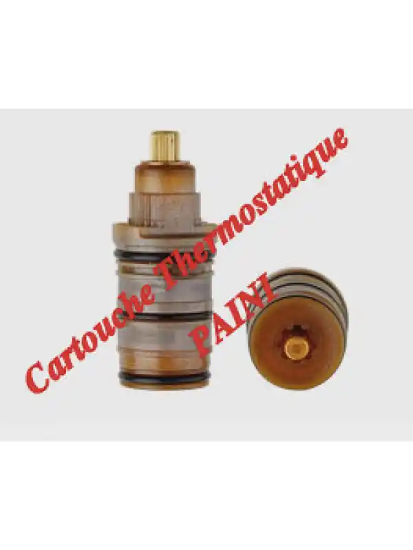Cartouche Thermostatique Robinetterie PAINI