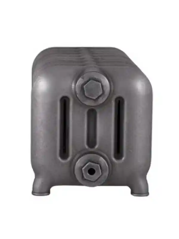 Radiateur fonte GASTON - CINIER